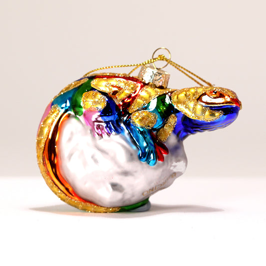 Multicolored glass salamander, Barcino, length 4 inches (10 centimeters)
