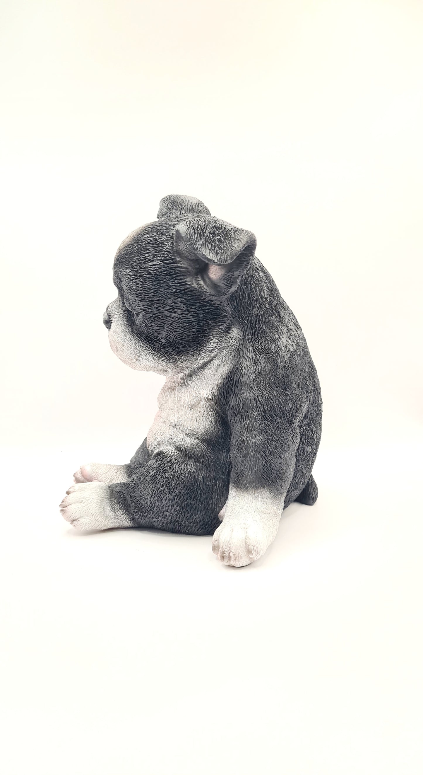 Statue chiot Boston Terrier en résine, hauteur 18 centimètres